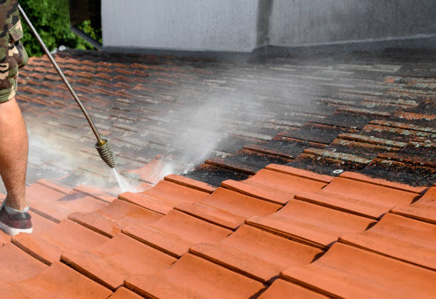  Polk City, FL Pressure Washing Pros